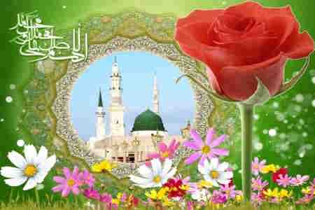 وحدت جامعه اسلامی رمز پیروزی است   * سید خلیل سجادی اسدآبادی 