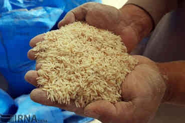 برنج خارجی مورد نیاز کشور تامین است