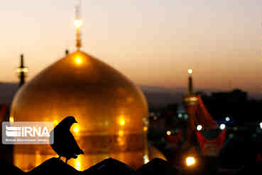 سلامی به امام رئوف