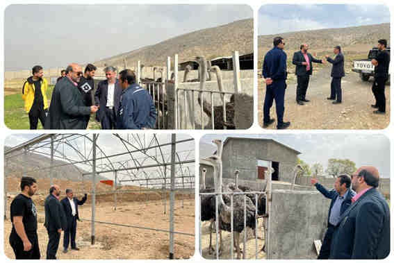 بازدید معاون هماهنگی امور اقتصادی از طرح های صنعتی و پروژه های گردشگری و تولیدی شهرستان بدره