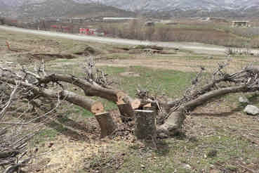 حمله کنندگان به محیط بانان چوار بازداشت شدند