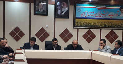 ۹ برنامه بهینه سازی رونق کشاورزی ایلام در دست انجام است