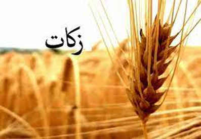 پرداخت زکات / وسیله تقرب الهی