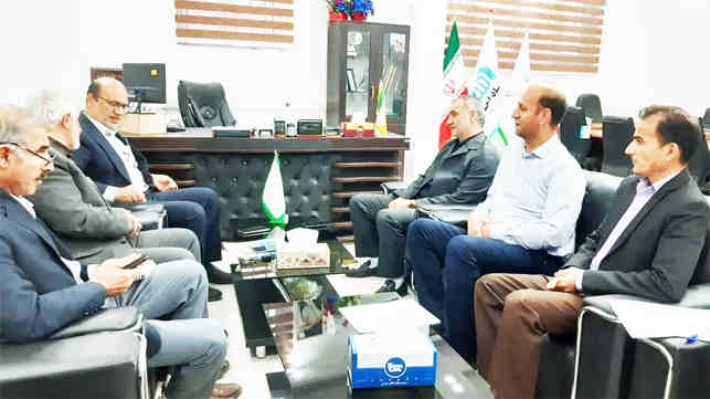 کسب رتبه نخست ایلام در اجرای طرح جهش تولید در دیمزارها