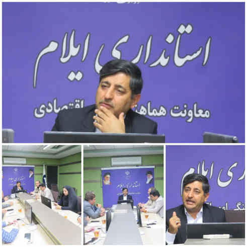 مدیرکل دفتر هماهنگی امور اقتصادی استاندار ایلام: سهمیه آرد روستاییان و عشایر ایلام ساماندهی می شود