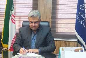 مدیرکل تعزیرات حکومتی استان ایلام: تمام گشت های نظارتی  بازار استان  را رصد می کنند