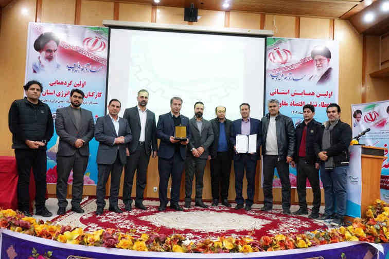 نشان برتر اقتصاد مقاومتی استان بر سینه پتروشیمی ایلام