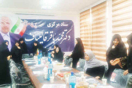 برگزاری نشست شورای راهبردی زنان ستاد دکتر قالیباف در ایلام + گزارش تصویری