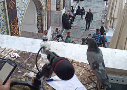همراهی رادیو اربعین با زائران مشهد مقدس تا پایان صفر