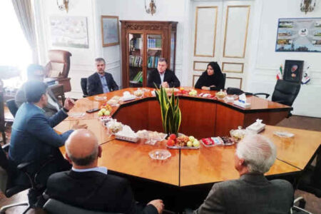 نشست فوق‌العاده برای برای جذب سرمایه گذار ساخت نیروگاه در استان ایلام