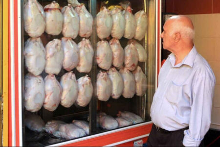 سه میلیون تن گوشت مرغ در کشور تولید شد