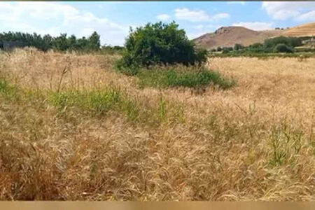 فیلم/ روستای علی‌آباد وسطی؛ نگینی سبز در دل سیروان