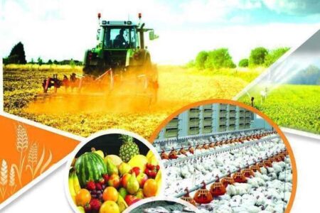 همکاری مرکز تحقیقات کشاورزی ایلام با پژوهشگاه علوم هسته‌ای گسترش می‌یابد