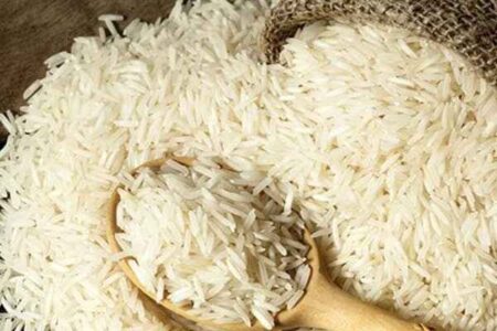 ۲۳ هزار تن برنج وارداتی در بندر بوشهر تخلیه شد