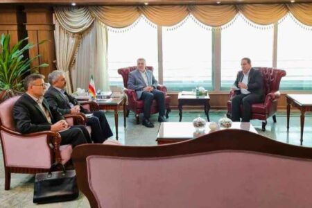 دیدار استاندار و رئیس دانشگاه علوم پزشکی ایلام با وزیر بهداشت