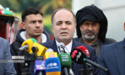 نوری‌قزلجه: توسعه گلخانه‌ها راهکار اساسی عبور از بحران آب است