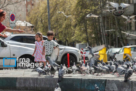 قاب زندگی/ تهران قلب تپنده ایران پس از آتش بس