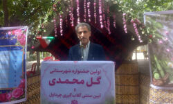 جهاد کشاورزی ایلام: کمبودی در تامین و عرضه کالاهای اساسی نداریم