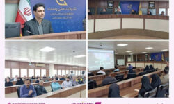 نشست آموزشی و پرسش و پاسخ بیمه تکمیلی ویژه کارکنان پست فارس برگزار شد