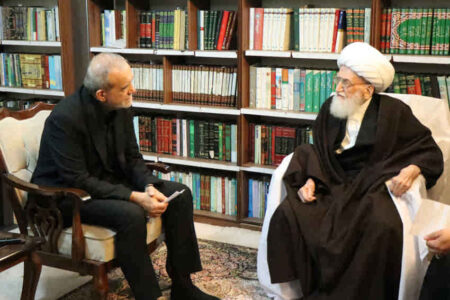 آیت الله نوری همدانی: از رییس جمهور حمایت می کنیم/ایجاد اختلاف به ضرر جریان انقلاب است