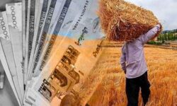 گندم ایلام در سیلو است اما پولش هنوز نرسیده