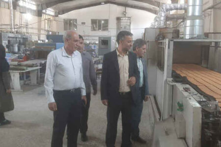 بازدید مدیرکل استاندارد از واحدهای تولیدی استان در راستای برنامه‌های نظارتی هفته دولت