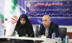 پیشنهاد مدیرکل کار ایلام برای کاهش بیکاری؛ اعزام نیروی ماهر به عراق و پایان دادن به استخدام‌های سفارشی