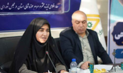 صادرات مهارت به عراق؛ راهکار سارا فلاحی برای اشتغالزایی جوانان ایلامی