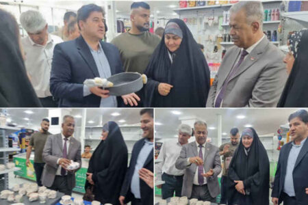 بازدید نماینده مجلس استان واسط از نمایشگاه صنایع‌دستی ایلام
